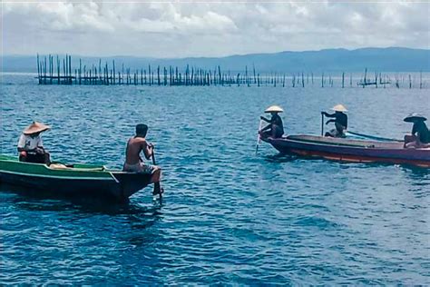  ¿Yuyu di Laut? Una fábula sobre la conexión entre el océano y la humanidad!