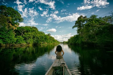  O Sítio das Fadas: Un Viaje Encantado al Corazón de la Selva Amazónica en el Siglo XIV